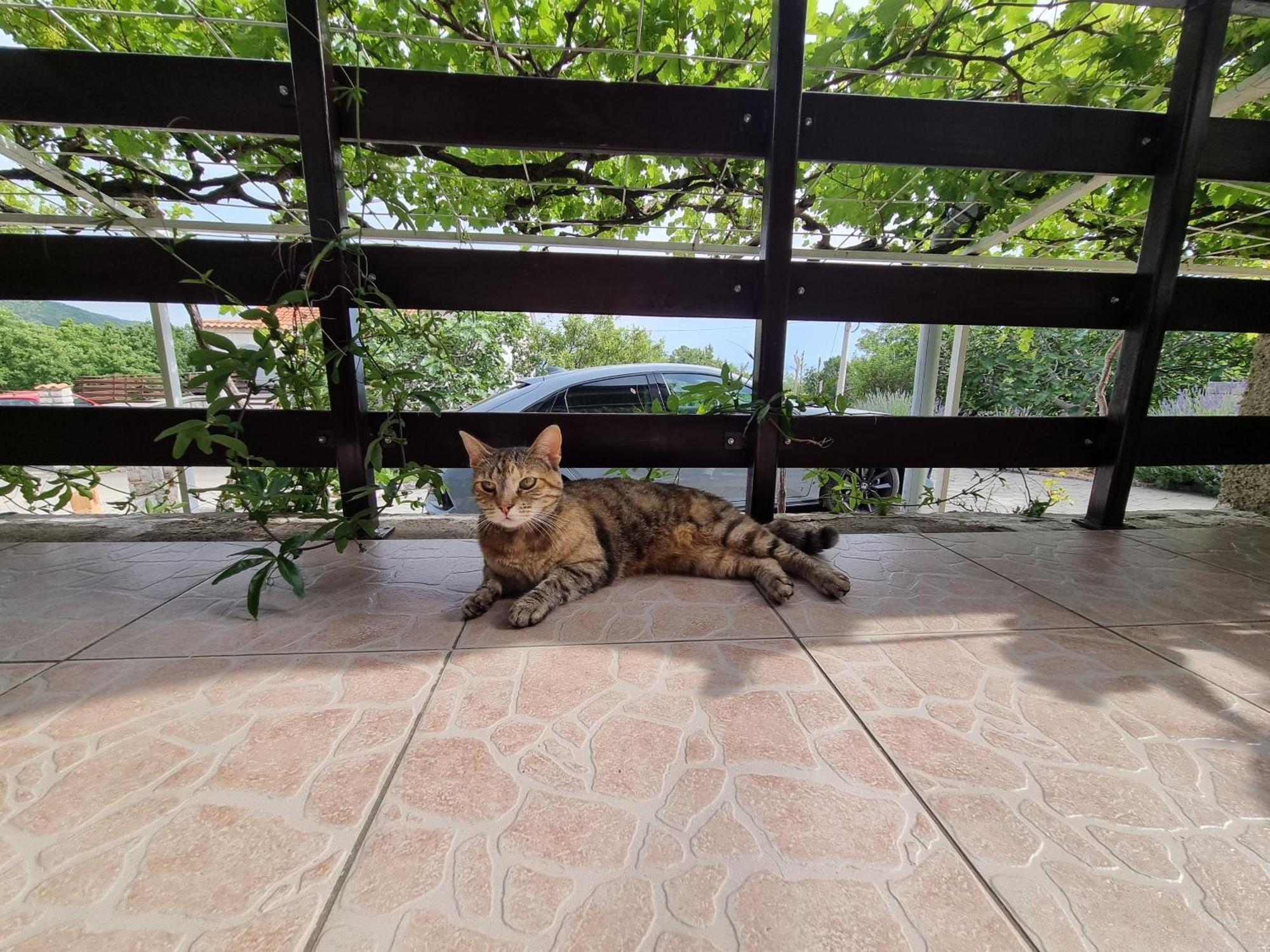 Apartman Rosita Krasica  Esterno foto